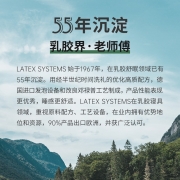 Latex Systems泰国原装进口 天然乳胶枕头芯 93%含量 礼盒 成人颈椎枕 波浪按摩橡胶枕高11/9cm