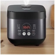 SUPOR 苏泊尔 CFXB40FC835-75 电饭煲 4升