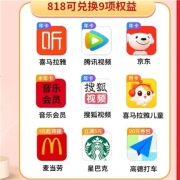 喜马拉雅年卡+搜狐+腾讯视频年卡+网易云+京东PLUS年卡