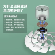 先锋(Singfun)遥控电风扇直流变频轻音落地扇客厅家用节能扇空气循环扇DXH-S6pro森林绿