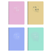 京东极速版：YUPIN 誉品 笔记本子 B5牛皮纸5本