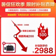 联想（Lenovo） 小新air14 锐龙R5六核轻薄笔记本电脑 学生用办公设计游戏高色域轻薄本 标配【R5-5500U 8G内存 256G固态】