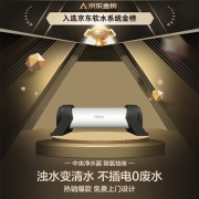 海尔（Haier） 中央净水器 管道中央净水自来水农村井水别墅商用大流量家用厨房除氯祛色不锈钢过滤机 2.5T/H 管道中央净水器