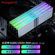 阿斯加特（Asgard）16GB(8Gx2)套装 DDR4 3600 台式机内存条 女武神·瓦尔基里系列 RGB灯条