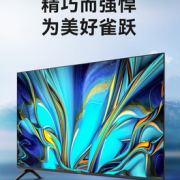 FFALCON 雷鸟 雀4SE系列 43F165C 液晶电视 43英寸 1080P