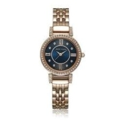 ANNE KLEIN 安妮·克莱因 摩登复古系列 女士石英腕表 AK-2928NVRG