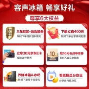 容声(Ronshen)离子净味Pro版 506升变频一级能效十字对开门四门电冰箱家用无霜BCD-506WD11FP双循环大容量