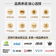 胖虫 武林高手i5 12400F/RTX3050/RTX3060/TI电竞游戏直播DIY组装电脑主机 标配版:12400F-RTX3050 单主机