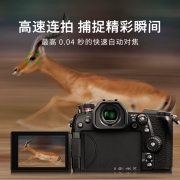 松下（Panasonic） G9 微单/单电无反数码相机  M4/3画幅  高速连拍 G9丨单机身（不含镜头）