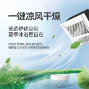 松下（Panasonic）FV-RB20Y1 浴霸风暖 排气扇浴室暖风机通用吊顶式卫生间换气多功能暖浴快 珍珠白