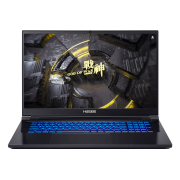 神舟(HASEE)战神G10-DA7NP 新12代i7-12700H RTX3070Ti 17.3英寸游戏本电脑(16G 512G 2.5K 165Hz100%DCI-P3)