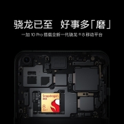 【12期免息】OPPO 一加10pro  OnePlus 1+10Pro 5G游戏手机 10pro胖达白 12GB+512GB