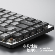 罗技（Logitech）MX 高性能低噪无线双模迷你机械键盘 84键 段落茶轴