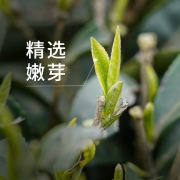川红 茶叶绿茶雀舌口粮茶买2送1 100g