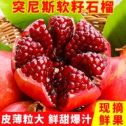 现摘现发 突尼斯软籽石榴5斤装