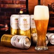 燕京啤酒 12度原浆白啤500ml*12听 整箱
