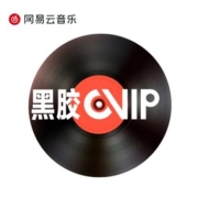 网易云音乐  黑胶VIP  12个月