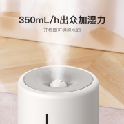 德尔玛（Deerma） 空气加湿器卧室 轻音加湿5L大容量家用办公室 母婴香薰机补水取暖伴侣 小米白F628一年质保