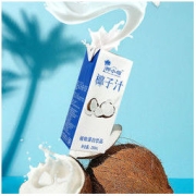 正宗海南风味椰汁 250ml*10