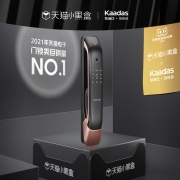 凯迪仕K20-W 全自动指纹锁家用防盗门智能门锁 电子密码锁kaadas