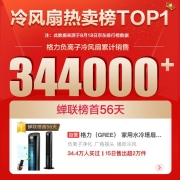 格力（GREE） 家用水冷塔扇负离子客厅卧室节能遥控制冷小空调扇办公加湿冷风扇 KS-04X60Dg