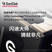 闪迪大师极客 6TB 企业级桌面移动硬盘 3.5英寸 USB3.1 传输速度250MB/S 西部数据高端品牌