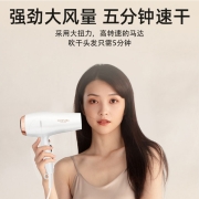 康夫（CONFU）电吹风机 家用大功率2300W 大风力冷热风速干恒温护发吹风筒 KF-3520/3096随机发货