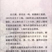 动物小说大王沈石溪品藏书系新版（青红特辑 套装共12册）