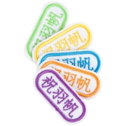 彩阳 幼儿园宝宝名字贴 可缝可烫 10个