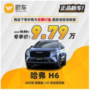 HAVAL 哈弗 H6 2021款 国潮版 1.5T 自动冠军版