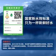 小米净水器家用净水机H600G 双芯六级过滤 无罐直饮水 RO反渗透 双出水龙头 米家APP智能互联