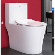ANNWA 安华 NL161M 漩涡虹吸式连体坐便器 305mm