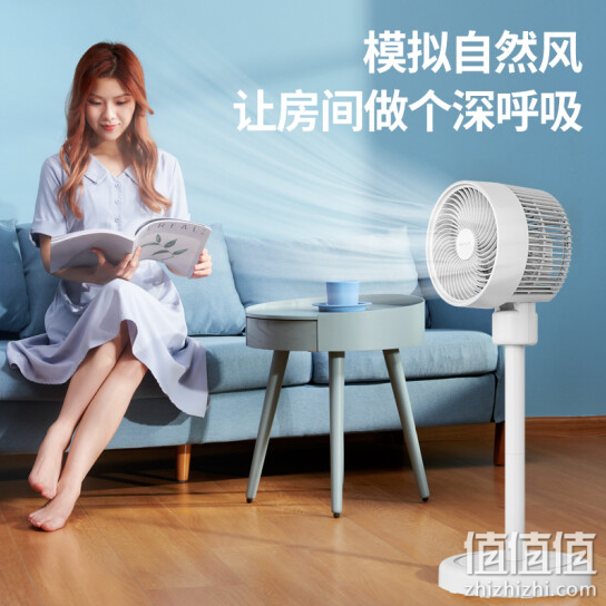 先锋(Singfun)空气循环扇电风扇 DXH-S12冷灰白