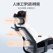 恒林 玄星电脑椅人体工学椅久坐舒适办公椅家用可调节腰靠椅子升降旋转座椅 HLC-2788黑色经典款