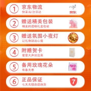 柏爱 生日礼物粉色永生花独角兽玫瑰花教师节礼物求婚表白礼送女友 约520朵玫瑰花