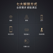因硕 智能锁指纹锁家用密码锁防盗门电子锁C级锁芯推拉式 C01经典全自动款【免费上门安装，质保三年】