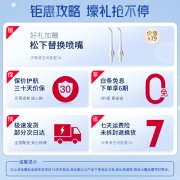 松下（Panasonic） 电动冲牙器 洗牙器 水牙线 牙齿清洁器 口腔冲洗器 便携洁牙器 洗牙机 EW1211 进口款