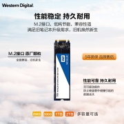 西部数据（WD) 2T SSD固态硬盘 SATA总线M.2接口 Blue系列 3D技术 高速读写 大容量 五年质保