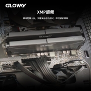 光威（Gloway）32GB(16Gx2)套装 DDR4 3000 台式机内存 天策系列