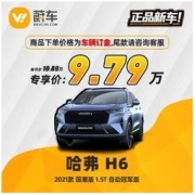 Great Wall 长城 哈弗 H6 2021款 国潮版 1.5T 自动冠军版 汽车新车