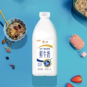 伊利 高品质鲜牛奶 1.5L  全脂牛奶  巴氏杀菌鲜牛奶