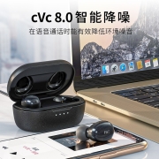 飞傲（FiiO） FW1真无线蓝牙耳机 hifi智能降噪 tws运动跑步耳机 通用华为苹果小米手机 黑色【持久续航I蓝牙5.0I两年质保】