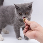 百乐宠猫零食猫冻干桶幼猫成猫宠物营养大礼包鸡肉蛋黄鸡脖生骨肉训练狗零食 10拼桶【营养均衡】