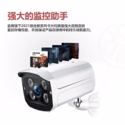 海康威视(HIKVISION)古龙联名 256GB TF(MicroSD)存储卡U3 C10 A1视频监控卡行车记录仪内存卡数码闪速闪存卡