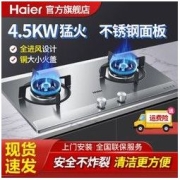 Haier 海尔 Q6G01燃气灶家用双灶天然气煤气猛火炉灶 台嵌两用式不锈钢灶