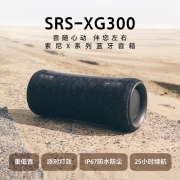 索尼（SONY）SRS-XG300 便携式派对蓝牙音箱 重低音 独立高音单元 IP67防水防尘 25小时续航 黑色