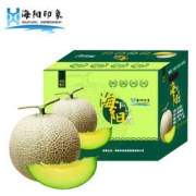 海阳印象 山东海阳网纹瓜密瓜 2个2250g