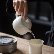 心去处陶瓷茶壶羊脂玉瓷泡茶壶德化白瓷井栏壶小号家用功夫茶具单壶 羊脂玉瓷井栏壶（简装）