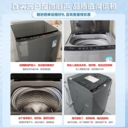 小天鹅（LittleSwan）10公斤波轮洗衣机全自动 内衣除螨洗深层洁净快洗节能 以旧换新补贴 TB100VC123B（99%客户的选择）