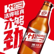 黄河啤酒 黄河王10度 500ml*12瓶 整箱装【产品升级，新旧包装随机发货】